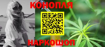 spice Новозыбков