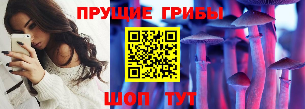 Псилоцибиновые грибы мухоморы  Вход с VPN  Псилоцибиновые грибы мухоморы  Ртищево 